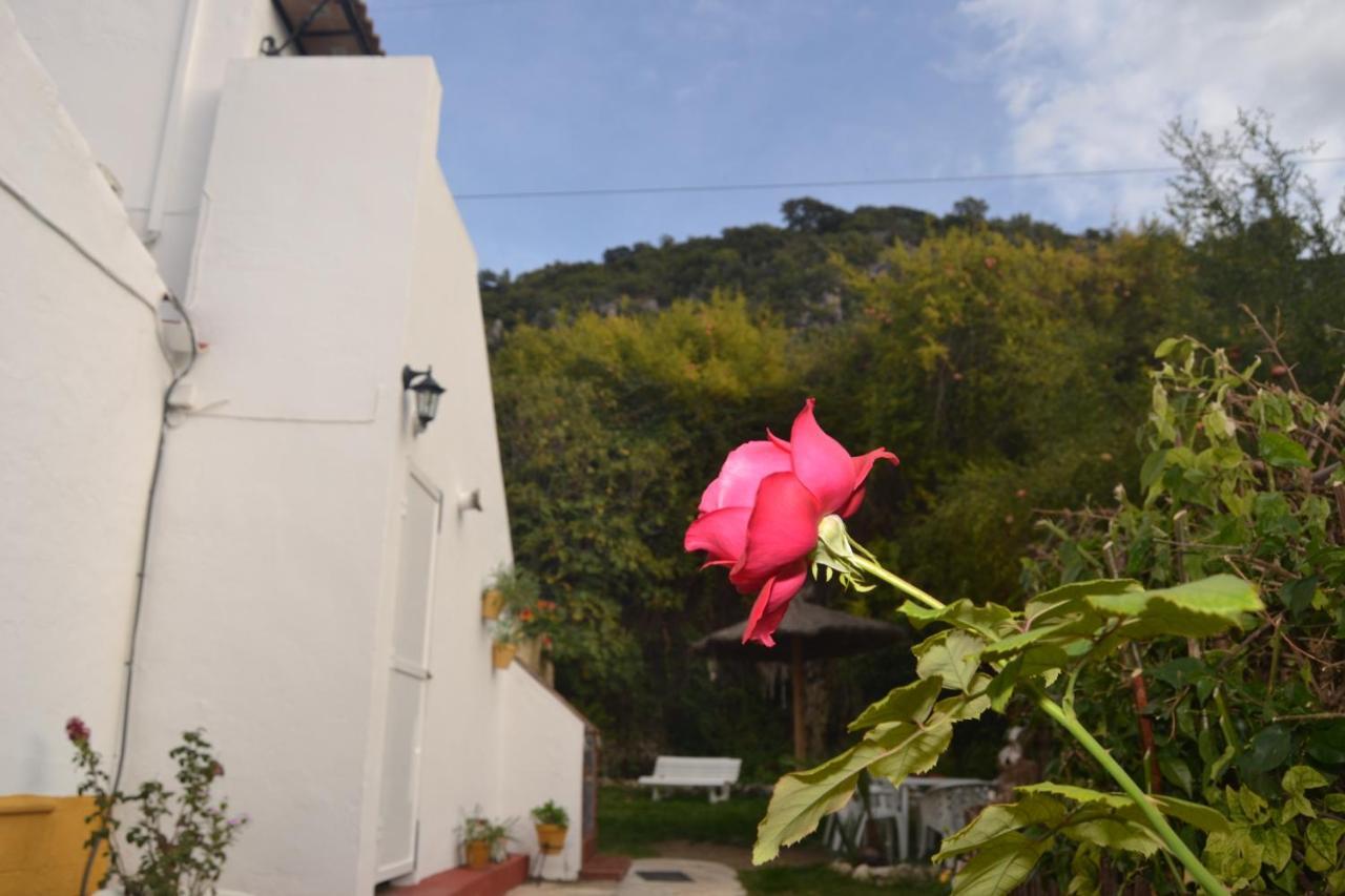 엘보스크 Casa La Cascada 빌라 외부 사진