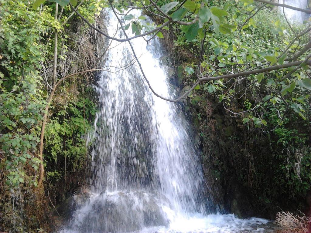 엘보스크 Casa La Cascada 빌라 외부 사진